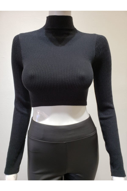 STYLED BY ALX COUTURE MIAMI BOUTIQUE STYLED BY ALX COUTURE MIAMI BOUTIQUE Mock Neck Long Sleeve Crop Top basic long sleeve top with mock neck and ribbed texture