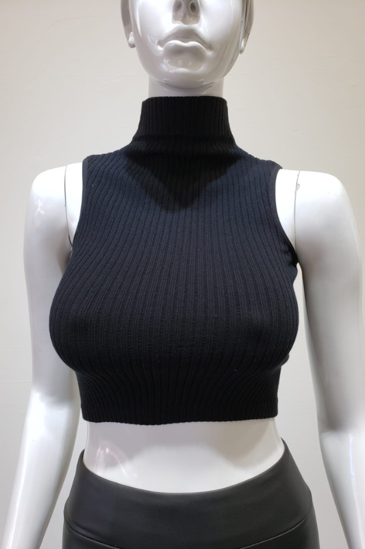 STYLED BY ALX COUTURE MIAMI BOUTIQUE Black Ribbed Seamless Mock Neck Crop Top 