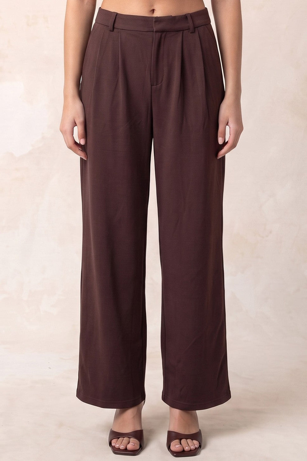 Dark chocolate pleated wide leg pants with belt loops, front view