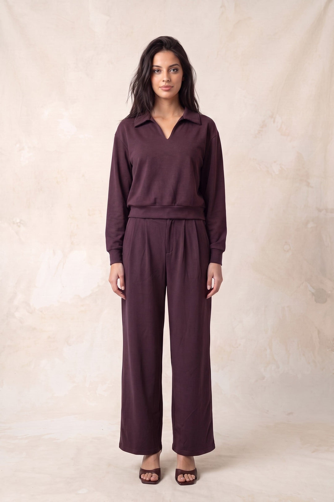 Plum pleated wide leg pants styled with a matching plum top
