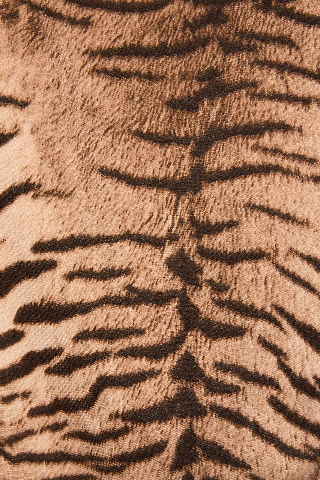Tiger Lace Trim Shorts - STYLED BY ALX COUTUREShorts