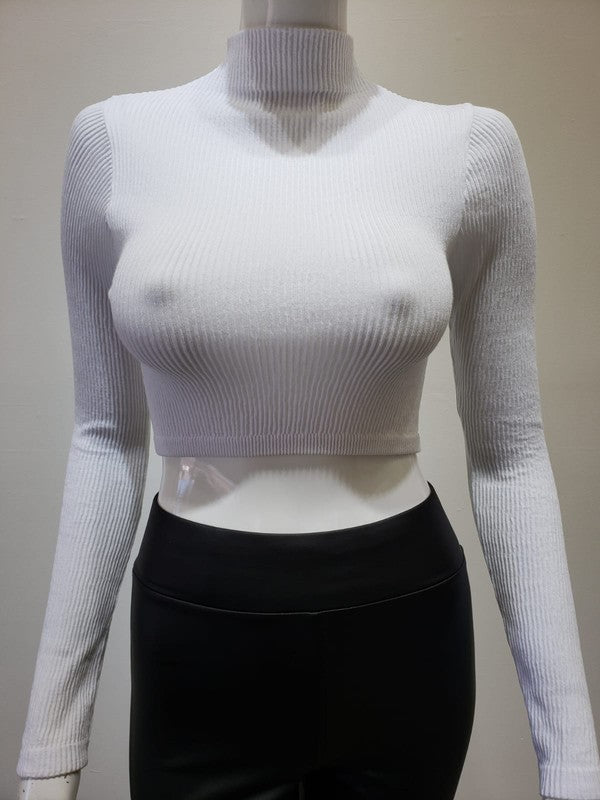 STYLED BY ALX COUTURE MIAMI BOUTIQUE Mock Neck Long Sleeve Crop Top