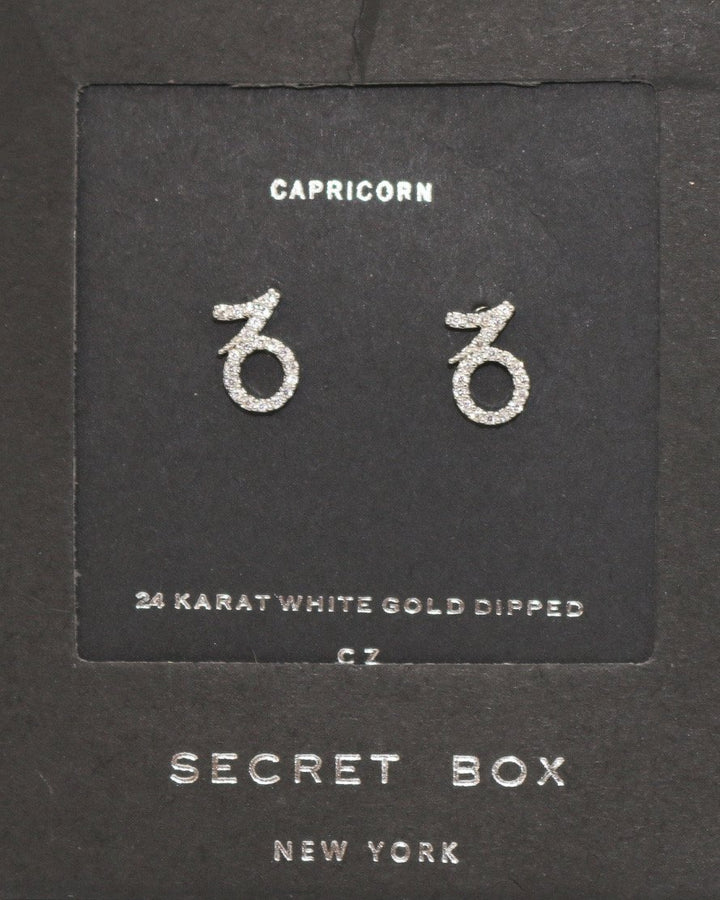 Capricorn Silver Zodiac Sign Earrings