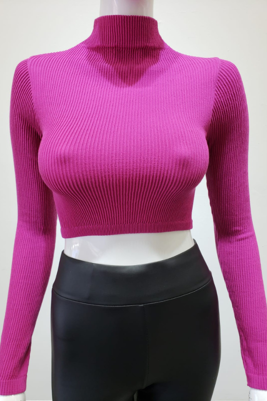 STYLED BY ALX COUTURE MIAMI BOUTIQUE Mock Neck Long Sleeve Crop Top